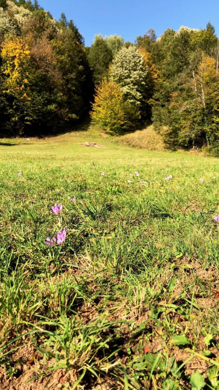 Pensiunea Valea Gepisului Grosi  ภายนอก รูปภาพ
