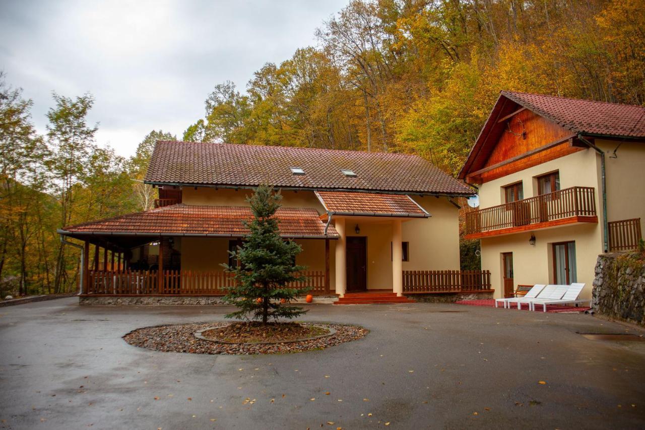Pensiunea Valea Gepisului Grosi  ภายนอก รูปภาพ