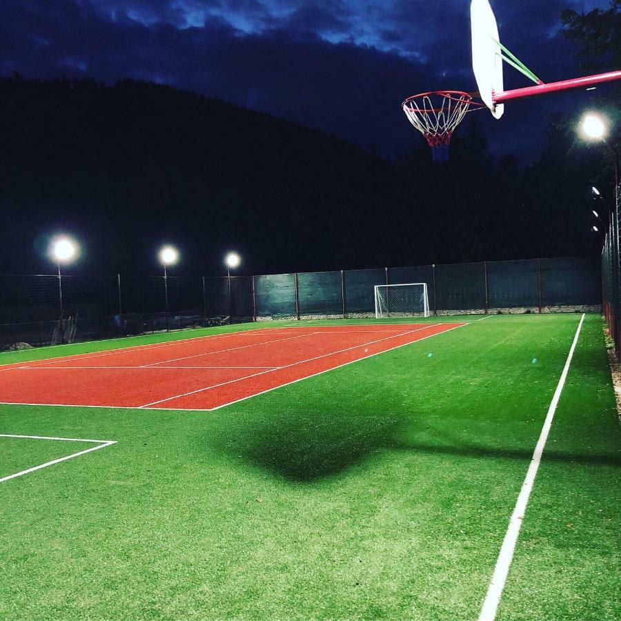 Pensiunea Valea Gepisului Grosi  ภายนอก รูปภาพ